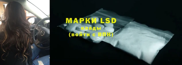 кокс Алзамай