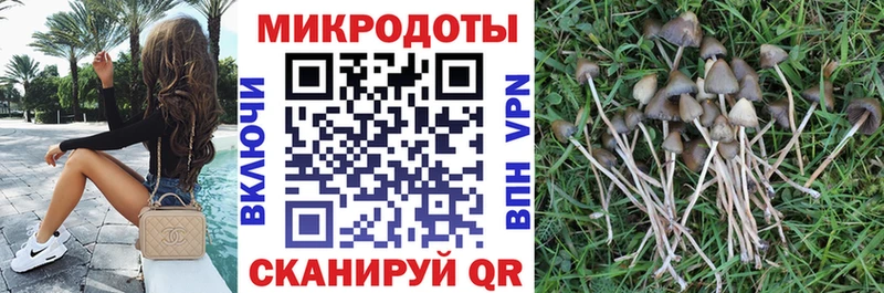 наркотики Кызыл hydra ТОР Псилоцибиновые грибы Psilocybine cubensis